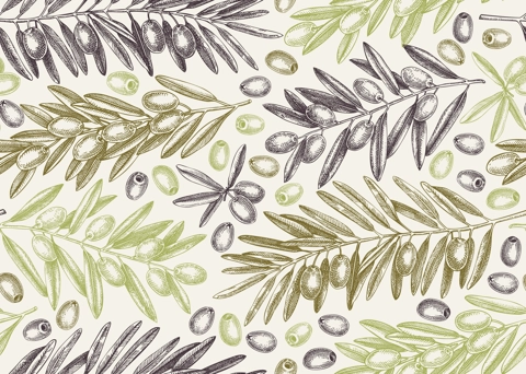 Olive branch seamless pattern. Vector background with leaves and fruits sketches in vintage style. Vegetable oil ingredients texture. Olive plant illustration for print or packaging design